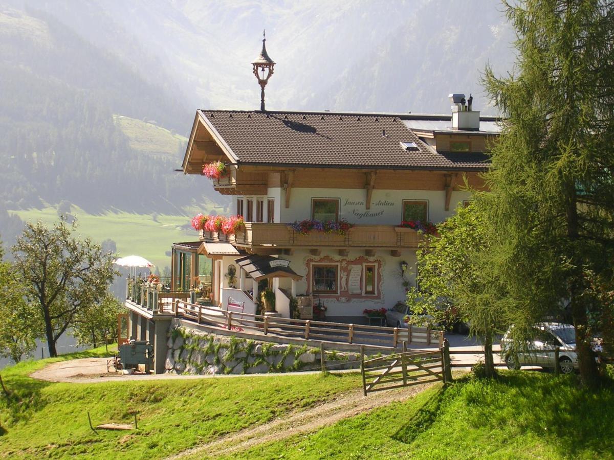 Villa Beim Naglbauer à Piesendorf Extérieur photo